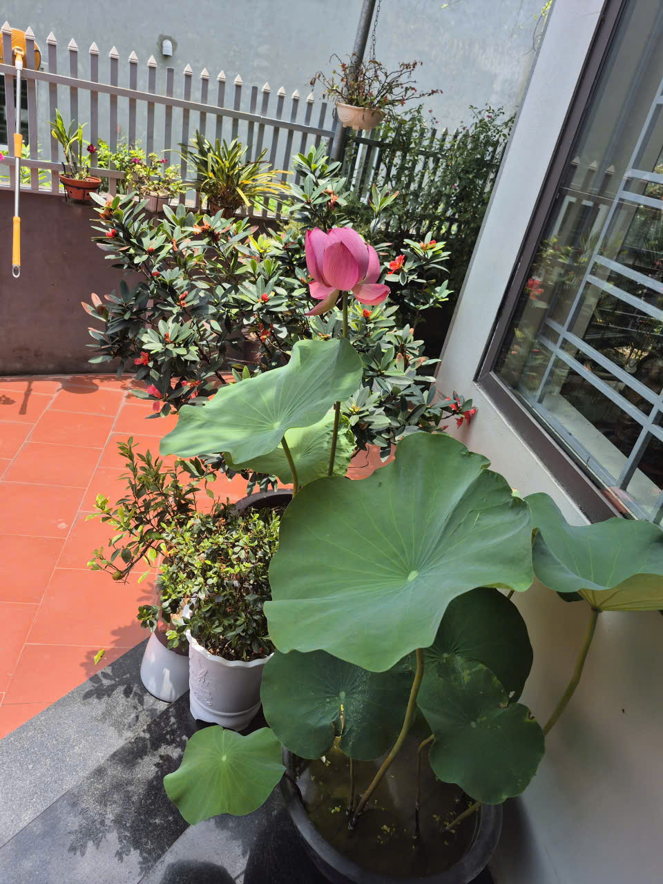 Nhà xây kiên cố 194m2 cạnh Metro Hạ Long, đường Ô tô, 4 ngủ 3 WC, giá bán gấp